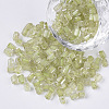 6/0 Two Cut Glass Seed Beads SEED-S033-09B-01-1