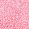 Baking Paint Glass Seed Beads SEED-L011-09A-26-3