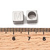 304 Stainless Steel European Beads STAS-D382-02M-P-2