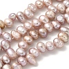 Natural Cultured Freshwater Pearl Beads Strands PEAR-A006-25B-1