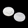 Natural White Shell Carved Cabochons SSHEL-I026-03B-06-2