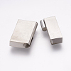 Tarnish Resistant 304 Stainless Steel Magnetic Clasps with Glue-in Ends STAS-K145-19P-3