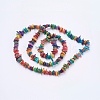 Natural Shell Chips Beads Strands SSHEL-J050-01-2