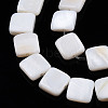 Natural Freshwater Shell Beads Strands SHEL-N026-209-3