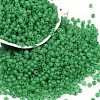 6/0 Luminous Glass Seed Beads SEED-NH0001-01G-2