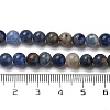 Natural Sodalite Beads Strands GSR6mmC013-1-4