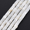 Natural Freshwater Shell Beads Strands X-SHEL-N027-09-2