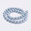 Wrinkle Textured Shell Pearl Beads Strands BSHE-E016-6mm-M-2