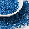 6/0 Transparent Glass Seed Beads SEED-F003-03A-02-1