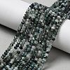 Natural Moss Agate Beads Strands X-G-C228-A01-2x3mm-1
