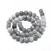 Natural Hawk's Eye Beads Strands G-R446-10mm-17-2