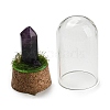 Natural Amethyst Bullet Display Decoration with Glass Dome Cloche Cover DJEW-B009-02B-2