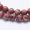 Natural Larvikite Beads Strands X-G-E443-A19-3