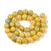 Dyed Natural White Jade Beads Strands G-T138-10mm-210-26-2