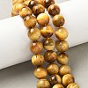 Natural Tiger Eye Beads Strands G-G544-12mm-01-6