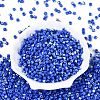 FGB Opaque Colours Glass Seed Beads SEED-Q040-07A-A09-2