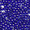 Glass Seed Beads SEED-H002-C-A048-3