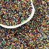 12/0 Glass Seed Beads SEED-S005-M2-2