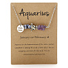 667 Stainless Steel with Natural Amethyst & Natural Dalmatian Jasper & Natural Sodalite Chip Pendant Necklaces FS-WGFED6E-10-1