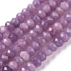 Dyed Natural Malaysia Jade Rondelle Beads Strands G-E316-2x4mm-39-1