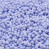 Macaron Color Opaque Frosted Glass Seed Beads SEED-K009-12B-12-3