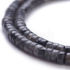 Natural Black Larvikite Beads Strands G-H230-27-3