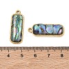 Natural Paua Shell Pendants SA-CBA11D7-11B-G-3