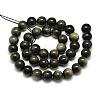 Natural Golden Sheen Obsidian Beads Strands G-S150-20-6mm-2