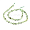 Natural Prehnite Beads Strands G-O201B-19-2