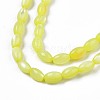 Freshwater Shell Beads Strands SHEL-T009-B15-01-3