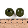 Painted Natural Wood Beads WOOD-A018-16mm-06-3