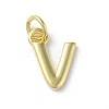 Rack Plating Brass Charms KK-P245-06G-V-1