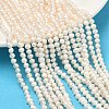 Natural Cultured Freshwater Pearl Beads Strands PEAR-L034-06A-1