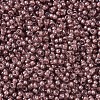 MIYUKI Round Rocailles Beads SEED-JP0008-RR0364-3