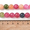 Dyed Natural Malaysia Jade Beads Strands G-G021-02C-26-2