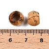 Natural Picture Jasper European Beads G-T092-10mm-27-3