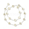 Natural Freshwater Shell Beads Strands BSHE-B005-13D-2