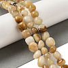 Natural Topaz Jade Beads Strands G-B078-D28-01-2