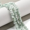 Natural Glass Beads Strands G-Q024-D02-01-2