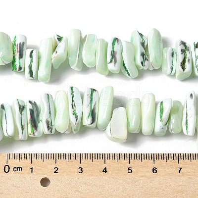 Dyed Natural Trochus Shell Beads Strands SSHEL-C013-09I-1