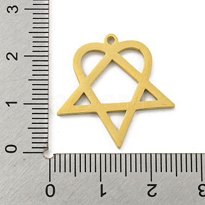 304 Stainless Steel Pendants STAS-R228-03G-1