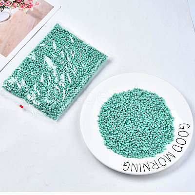 6/0 Glass Seed Beads SEED-S058-A-F439-1