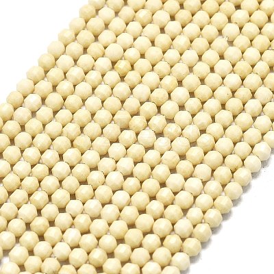Natural Fossil Beads Strands G-A260-A35-01-1
