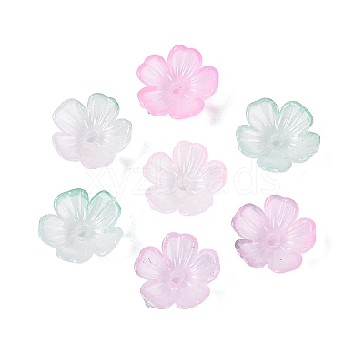 Transparent Plastic Bead Caps KY-Q005-02A-11-1