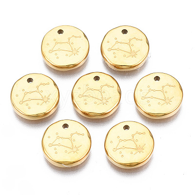 316 Surgical Stainless Steel Charms LS-STAS-S116-418H-G-1