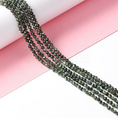 Natural Seraphinite Beads Strands G-A021-07B-1