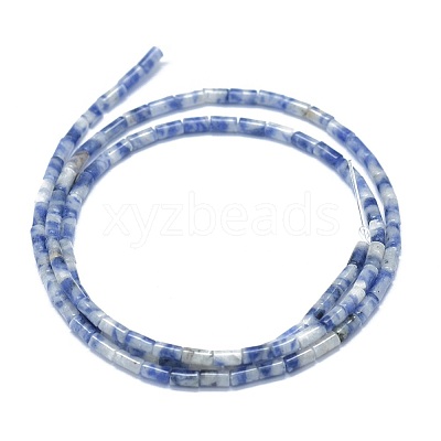 Natural Blue Spot Jasper Beads Strands G-F631-B11-1