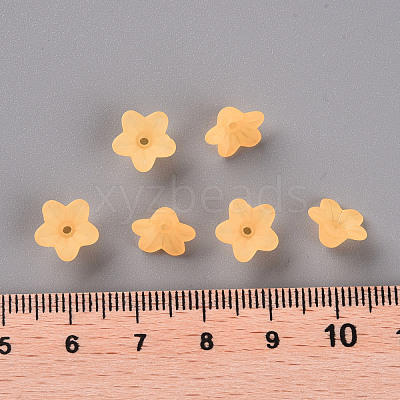 Transparent Acrylic Beads X-PL554-07-1