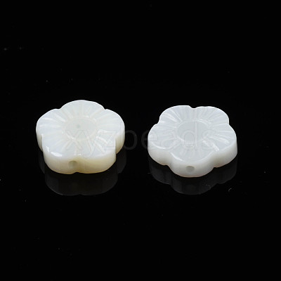Natural Freshwater Shell Beads SHEL-N026-184-1