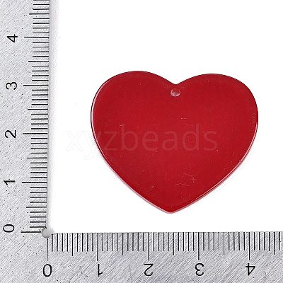 Acrylic Pendants OACR-Q100-08B-1